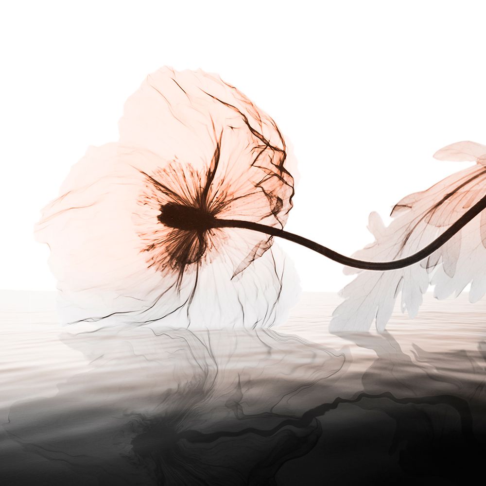 Distorted Harmony 1 art print by Albert Koetsier for $57.95 CAD