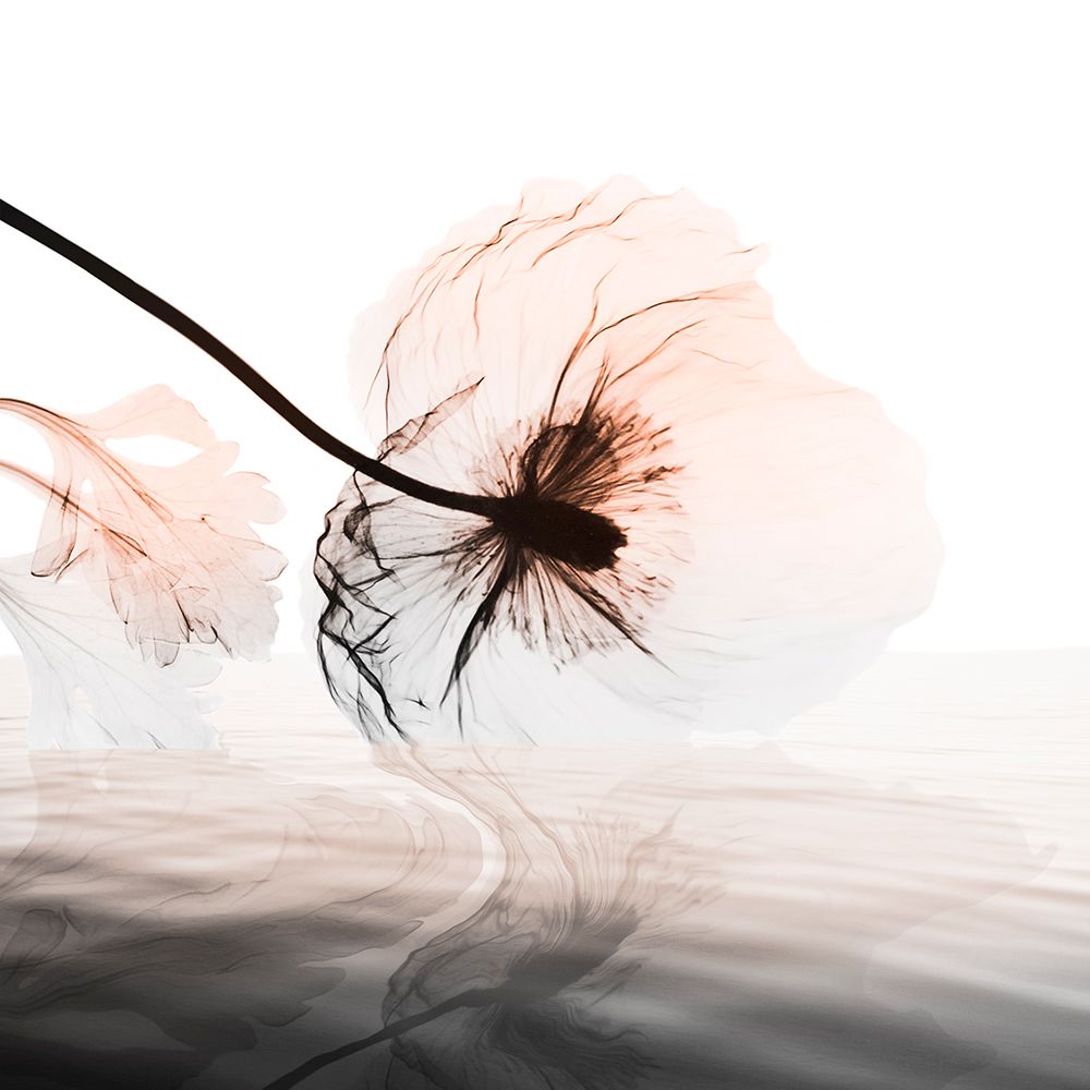 Distorted Harmony 2 art print by Albert Koetsier for $57.95 CAD