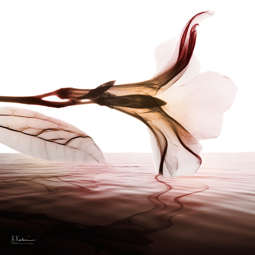 Equable Coast 2 art print by Albert Koetsier for $57.95 CAD