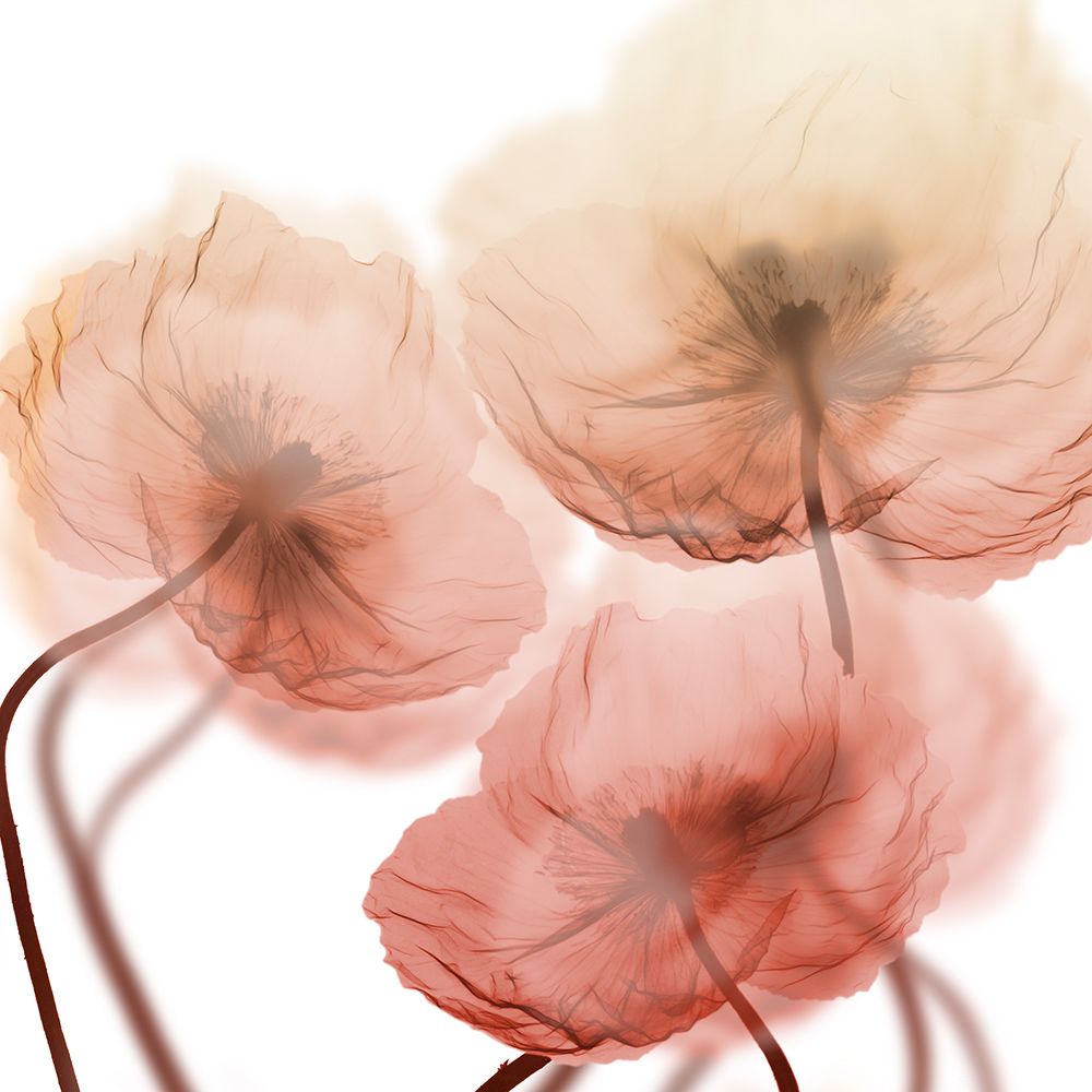 Voiceless Impact 1 art print by Albert Koetsier for $57.95 CAD