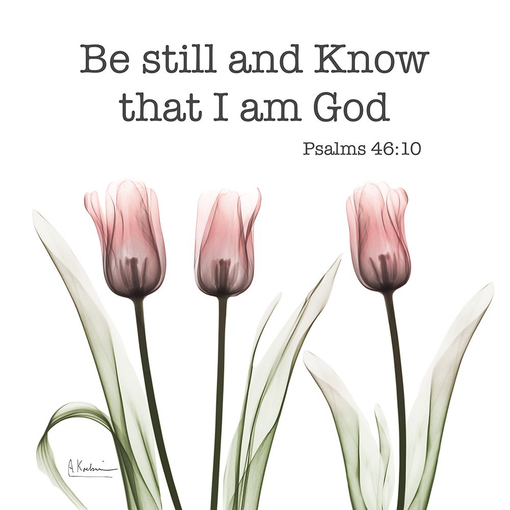 I Am God art print by Albert Koetsier for $57.95 CAD