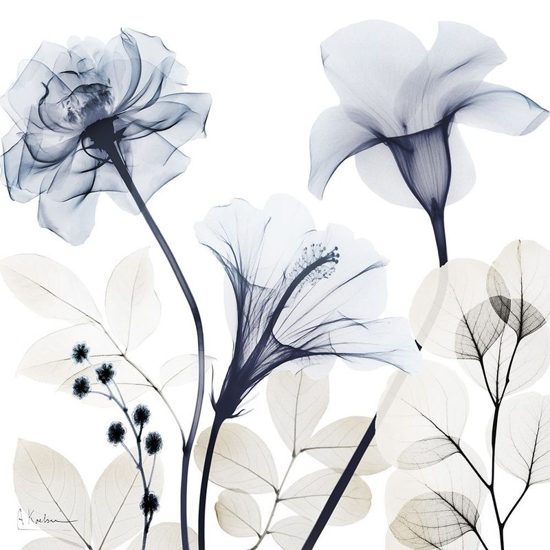 Generous Blooms 1 art print by Albert Koetsier for $57.95 CAD