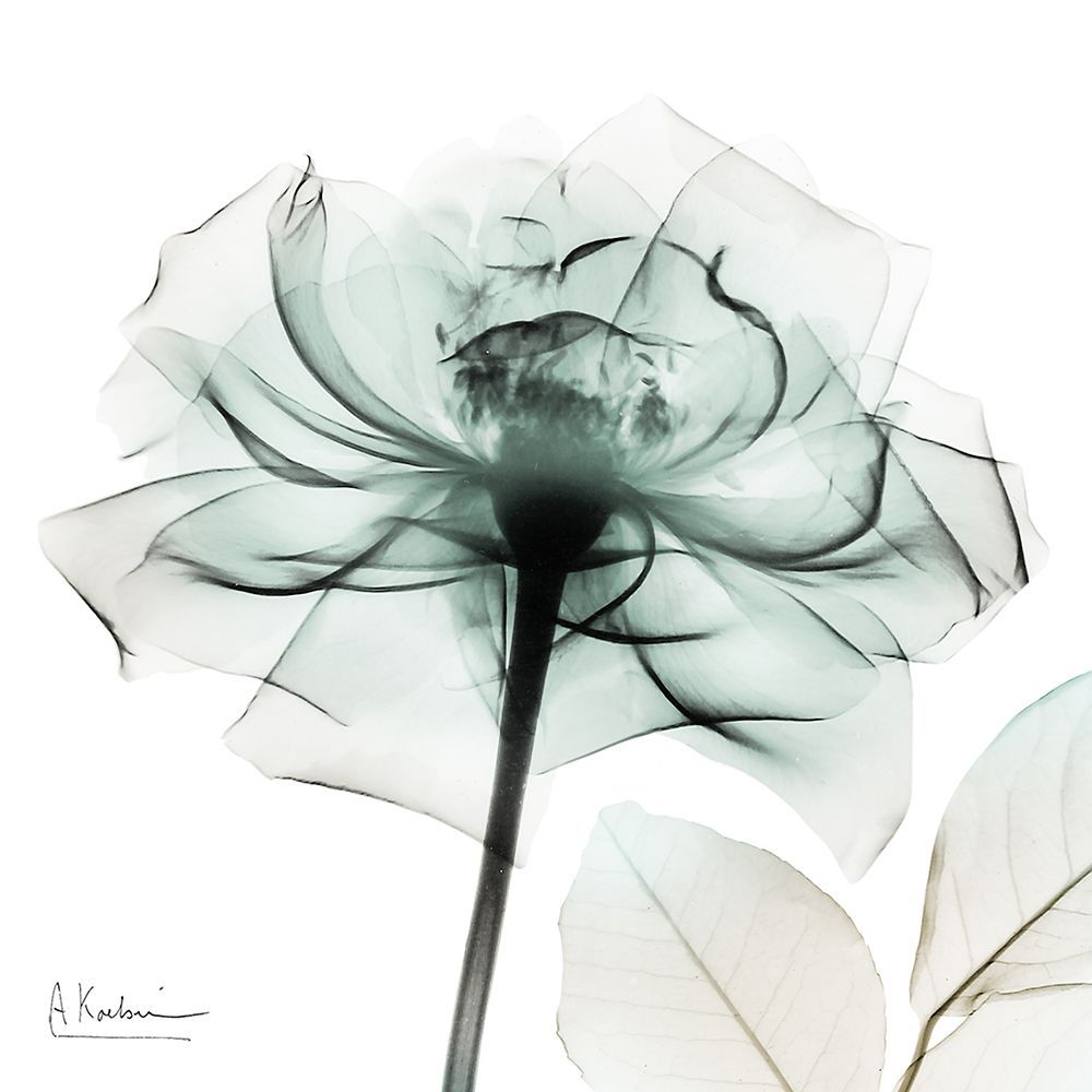 Emerald Rose 1 art print by Albert Koetsier for $57.95 CAD
