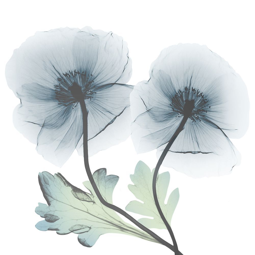 Sapphire Florals 1 art print by Albert Koetsier for $57.95 CAD