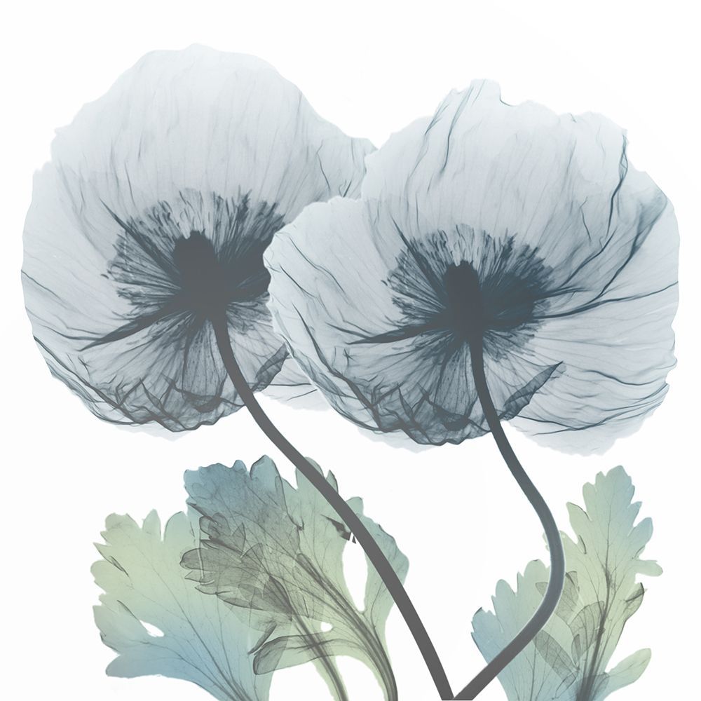 Sapphire Florals 2 art print by Albert Koetsier for $57.95 CAD