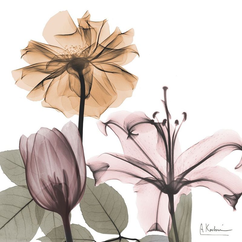 Earthy Bouquet 1 art print by Albert Koetsier for $57.95 CAD