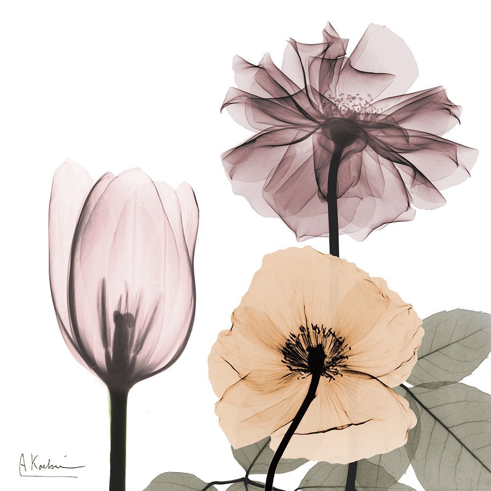 Earthy Bouquet 2 art print by Albert Koetsier for $57.95 CAD