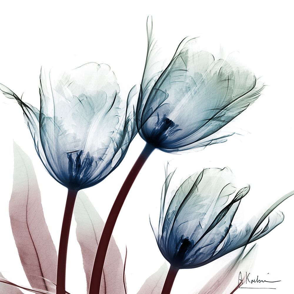 Vibrant Tulips 1 art print by Albert Koetsier for $57.95 CAD