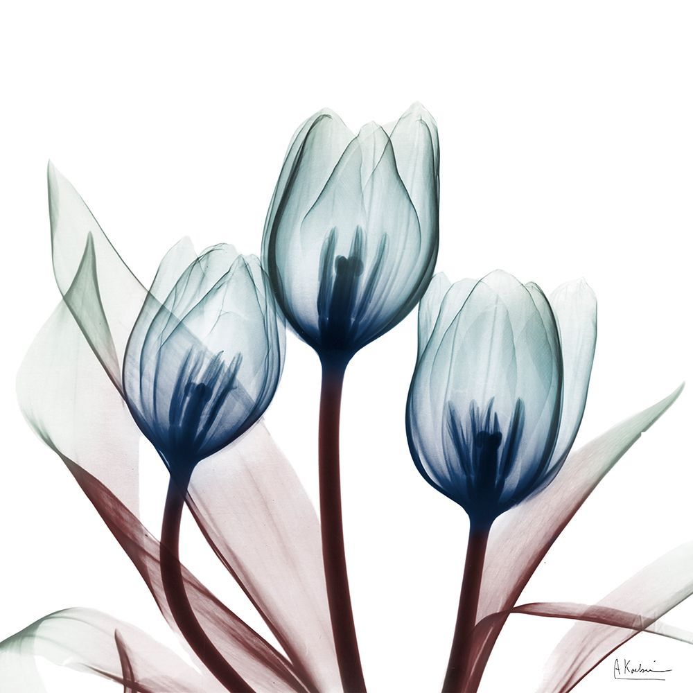 Vibrant Tulips 2 art print by Albert Koetsier for $57.95 CAD