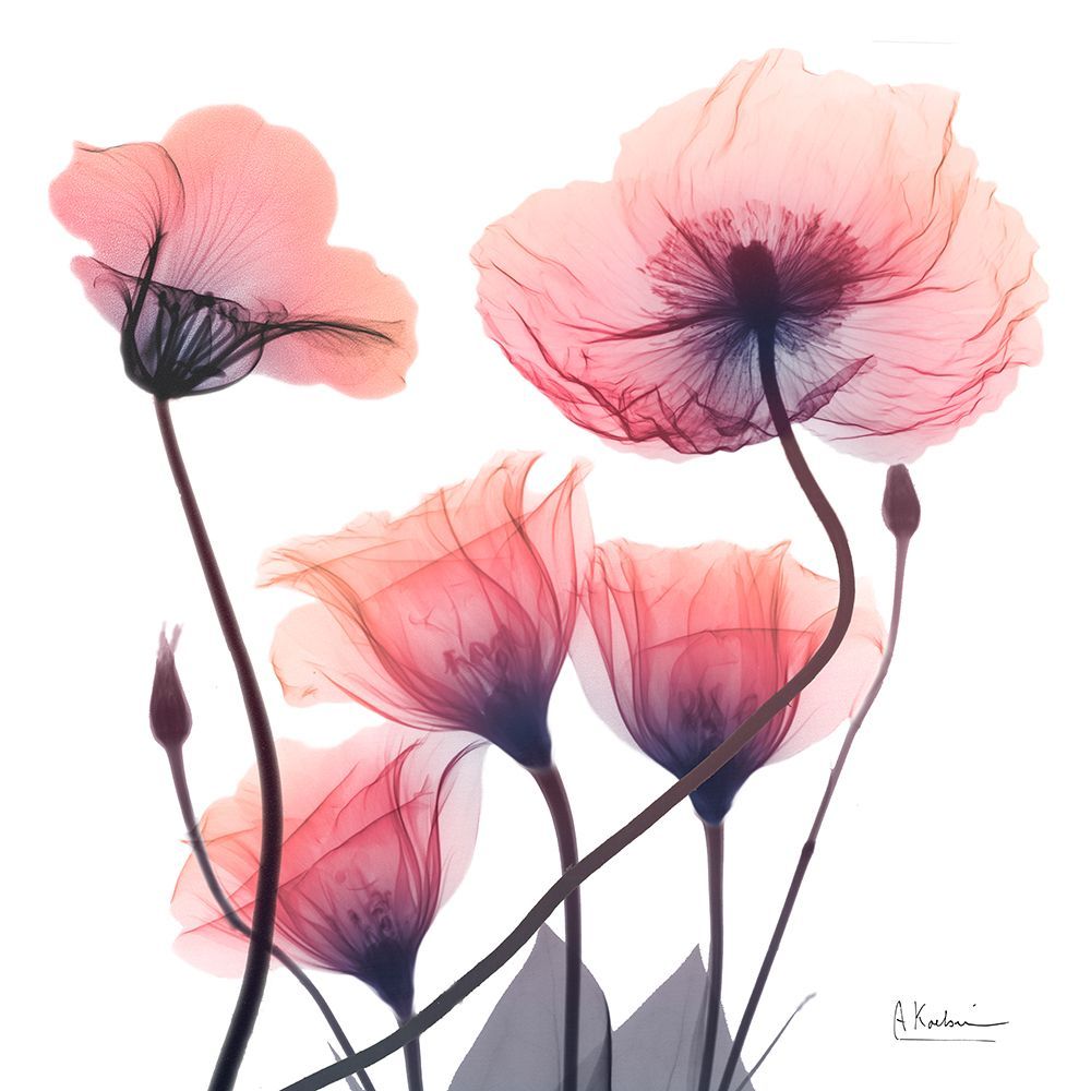 Ember Blooms 1 art print by Albert Koetsier for $57.95 CAD