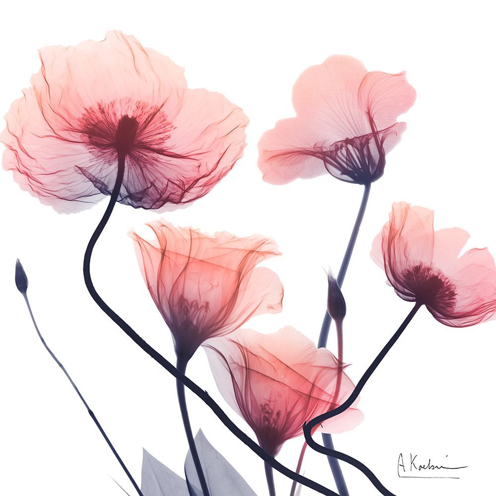 Ember Blooms 2 art print by Albert Koetsier for $57.95 CAD