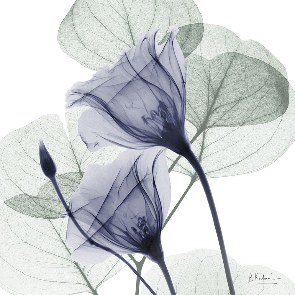 Future Blooms 1 art print by Albert Koetsier for $57.95 CAD
