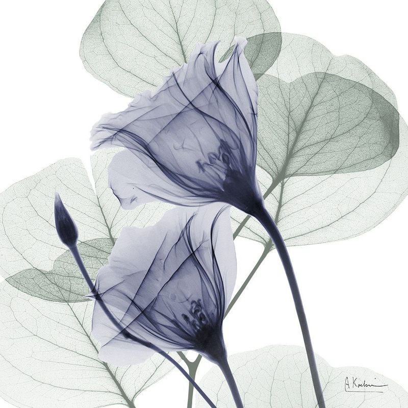 Future Blooms 1 art print by Albert Koetsier for $57.95 CAD