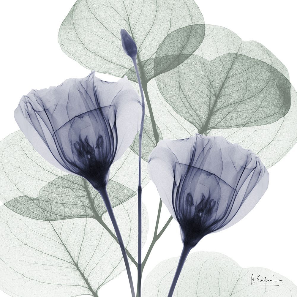 Future Blooms 2 art print by Albert Koetsier for $57.95 CAD