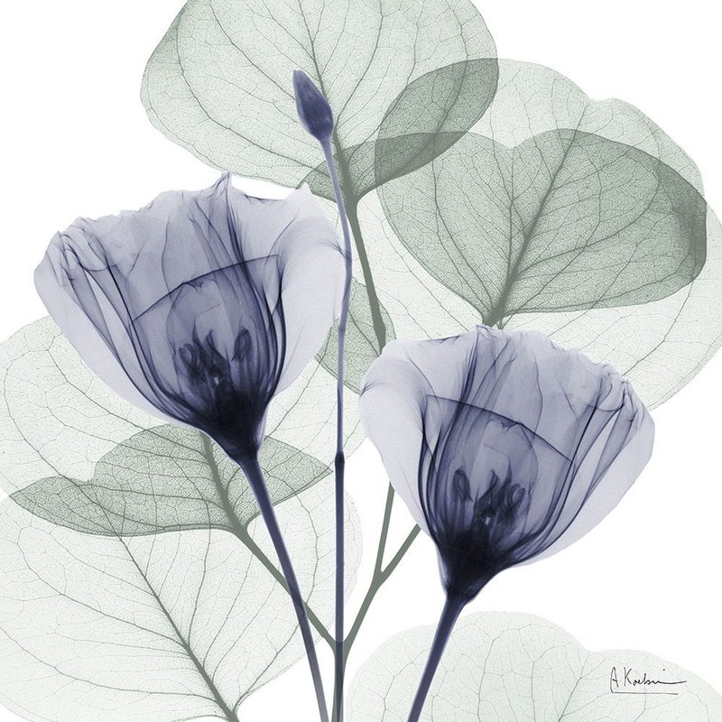 Future Blooms 2 art print by Albert Koetsier for $57.95 CAD