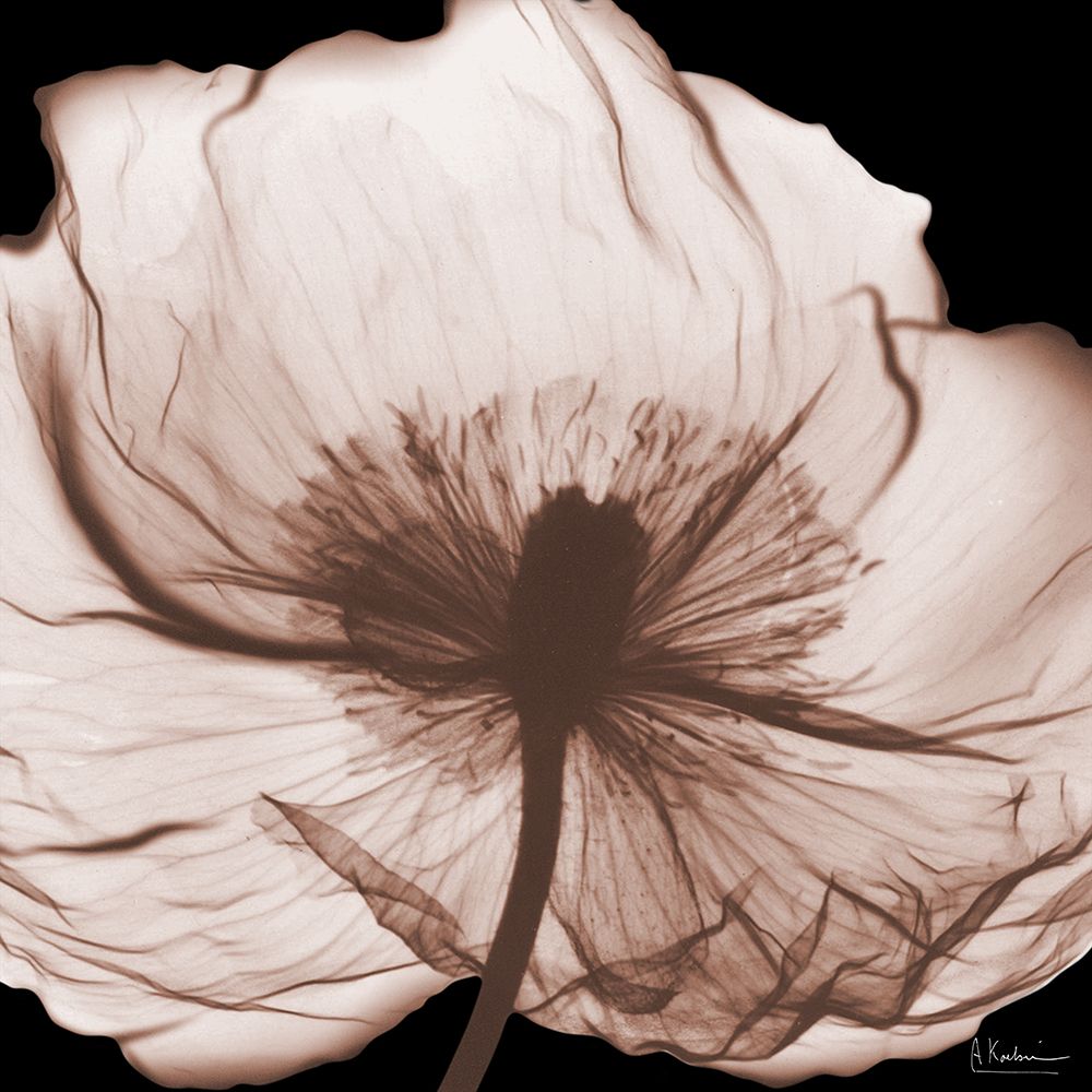 Magnolia Mocha Beauty 2 V2 art print by Albert Koetsier for $57.95 CAD