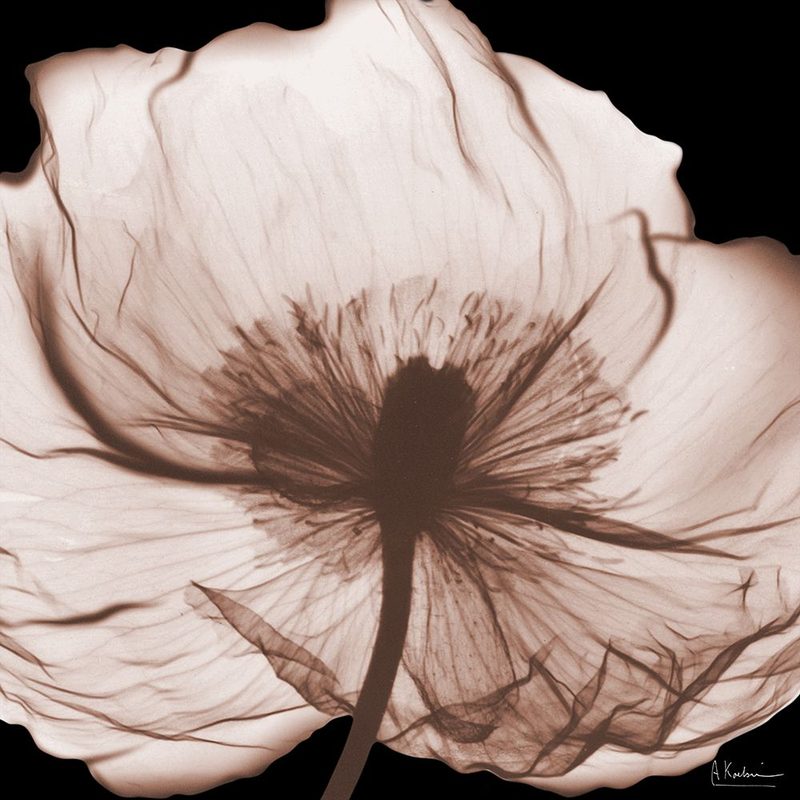 Magnolia Mocha Beauty 2 V2 art print by Albert Koetsier for $57.95 CAD