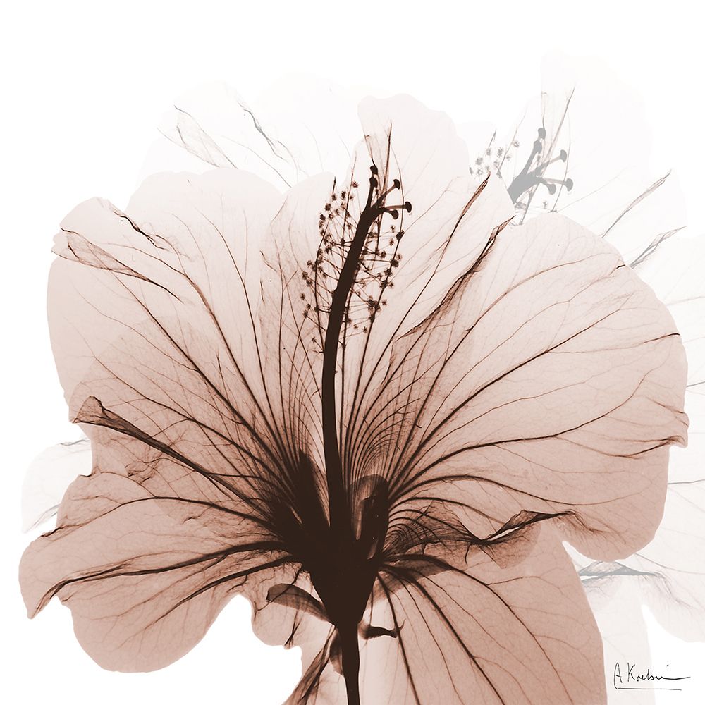 Tasty Mocha Hibiscus 1 art print by Albert Koetsier for $57.95 CAD
