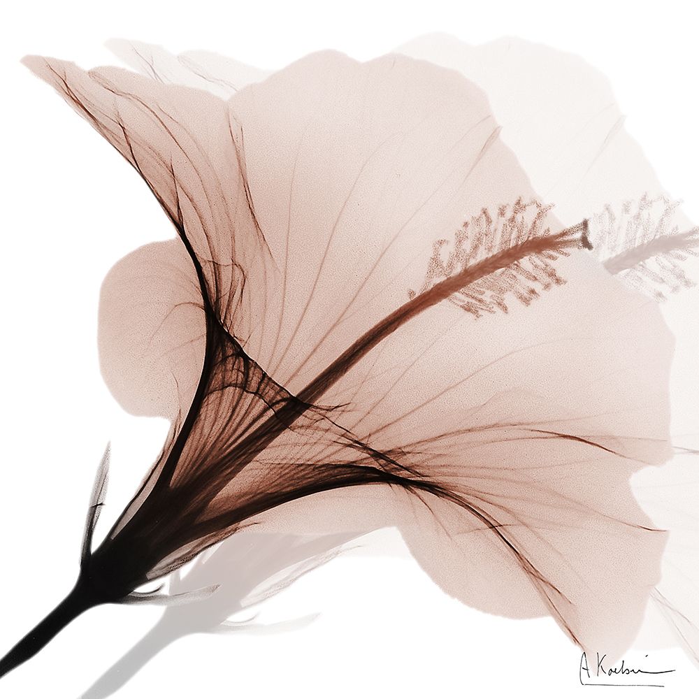 Tasty Mocha Hibiscus 2 art print by Albert Koetsier for $57.95 CAD