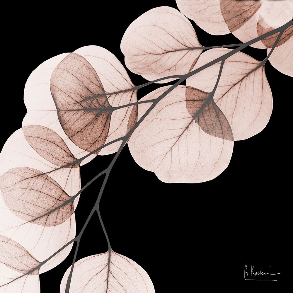 Mocha Eucalyptus 1 V2 art print by Albert Koetsier for $57.95 CAD