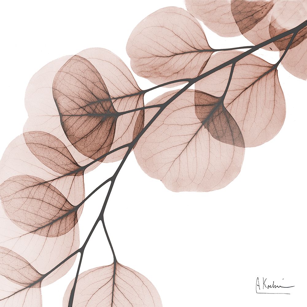 Mocha Eucalyptus 1 art print by Albert Koetsier for $57.95 CAD