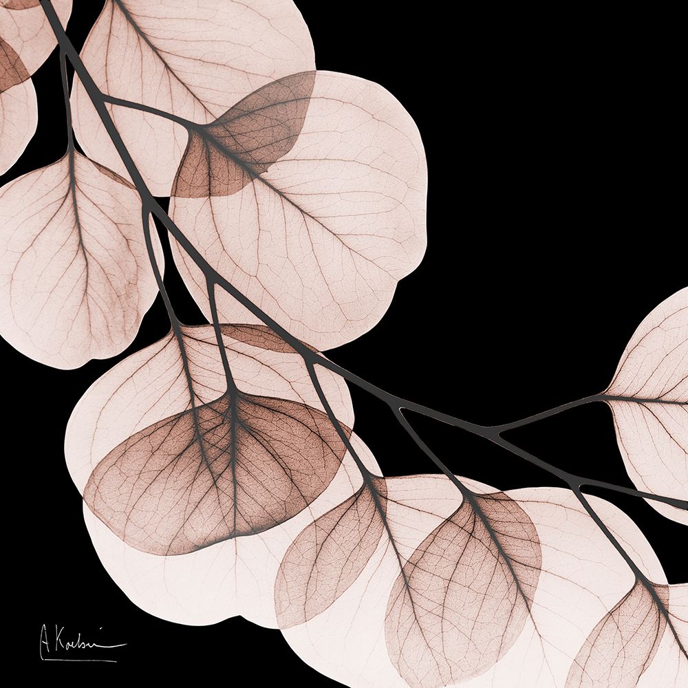 Mocha Eucalyptus 2 V2 art print by Albert Koetsier for $57.95 CAD