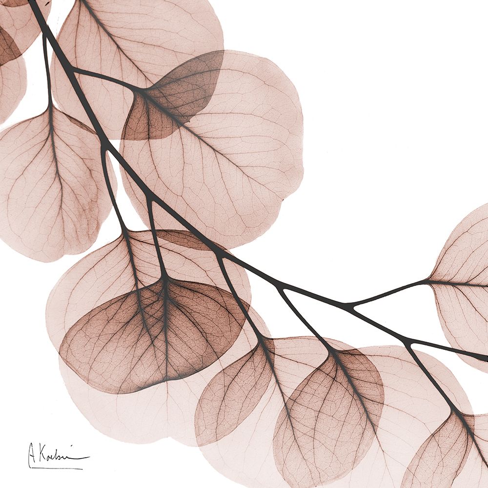 Mocha Eucalyptus 2 art print by Albert Koetsier for $57.95 CAD