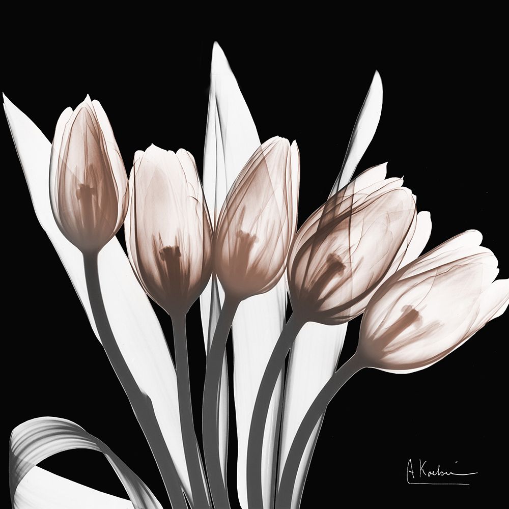 Marvelous Mocha Tulips 1 V2 art print by Albert Koetsier for $57.95 CAD