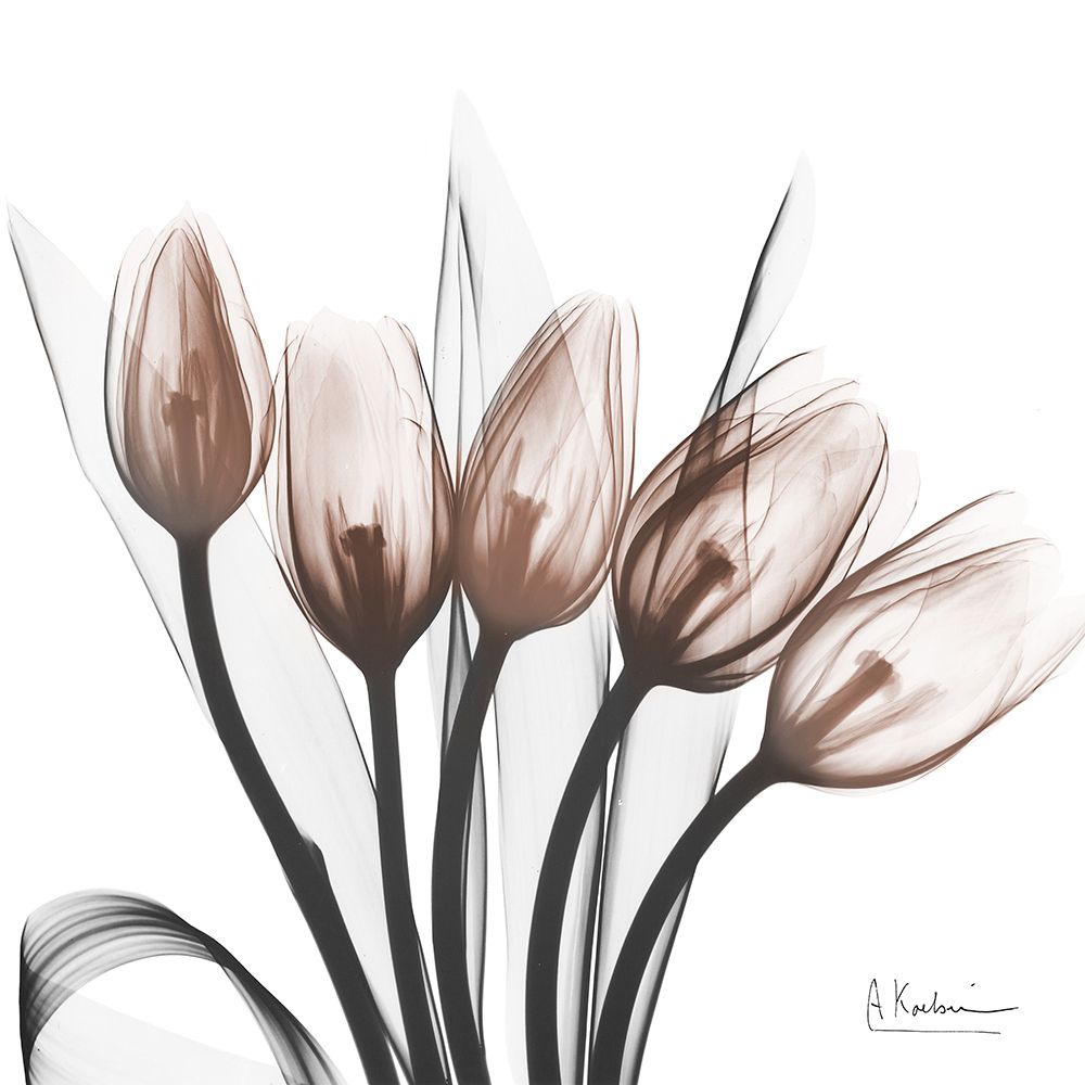 Marvelous Mocha Tulips 1 art print by Albert Koetsier for $57.95 CAD