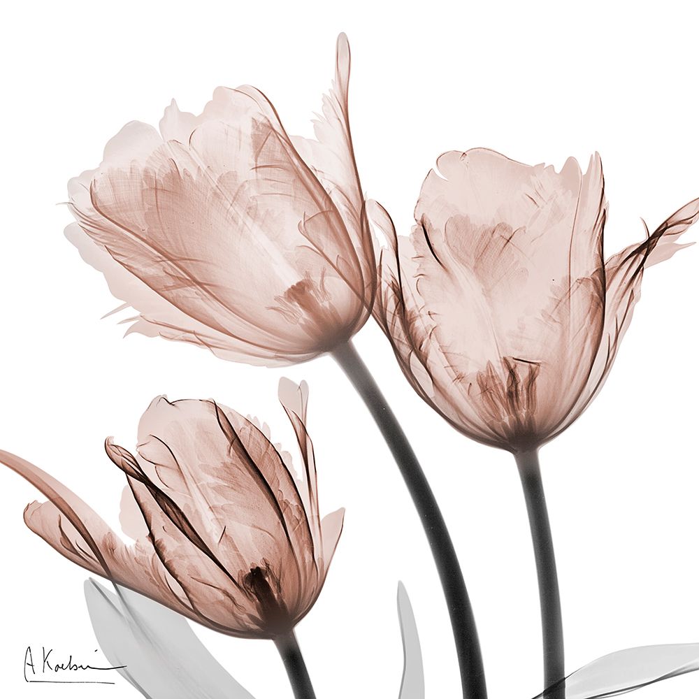 Spectacular Mocha Trio 1 art print by Albert Koetsier for $57.95 CAD