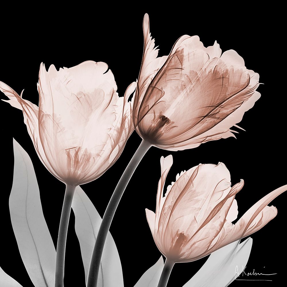 Spectacular Mocha Trio 2 V2 art print by Albert Koetsier for $57.95 CAD