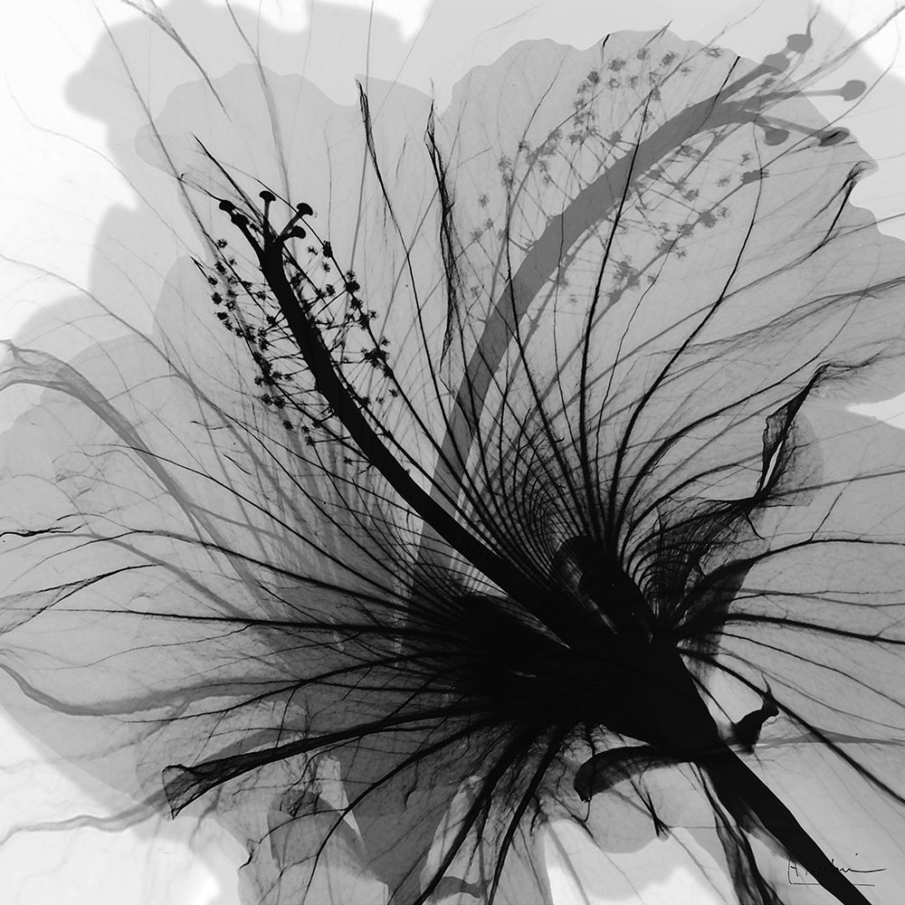 Changing Monochromatic Reception 1 art print by Albert Koetsier for $57.95 CAD