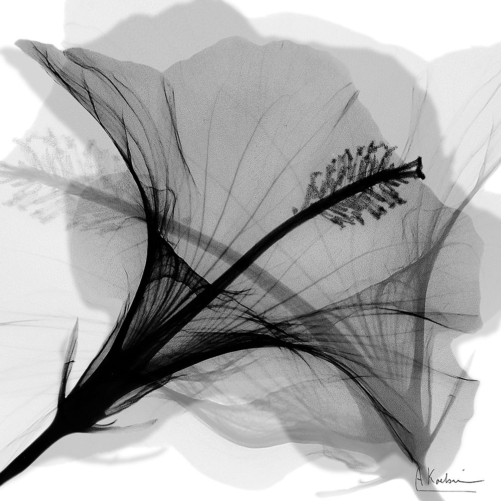 Changing Monochromatic Reception 2 art print by Albert Koetsier for $57.95 CAD