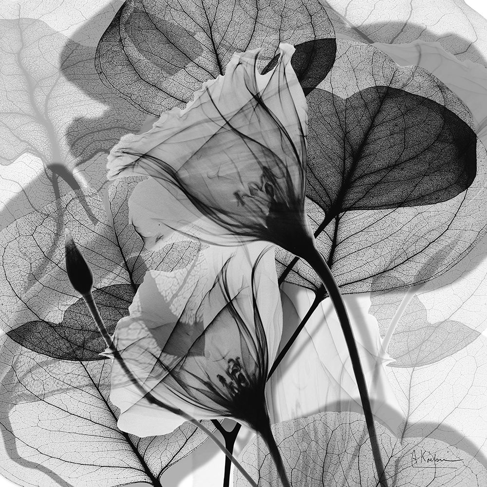 Serene Gray Union 1 art print by Albert Koetsier for $57.95 CAD