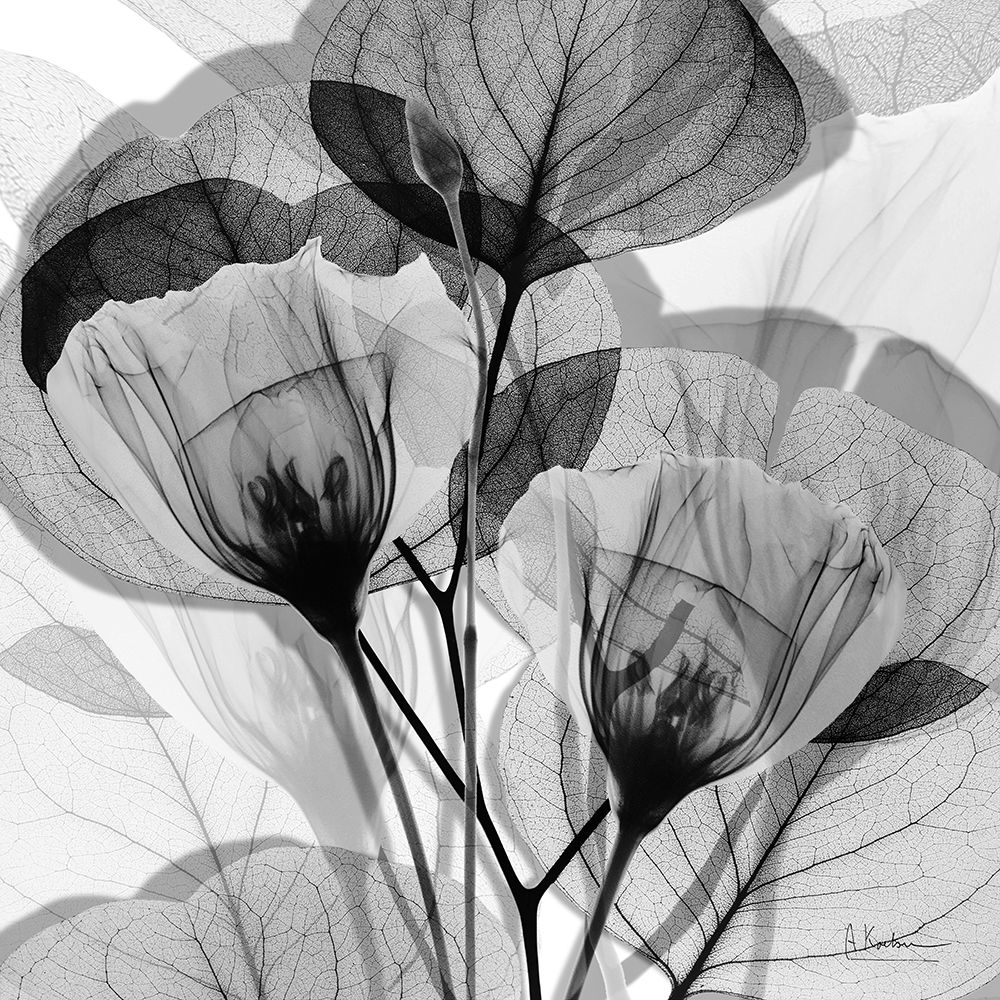 Serene Gray Union 2 art print by Albert Koetsier for $57.95 CAD