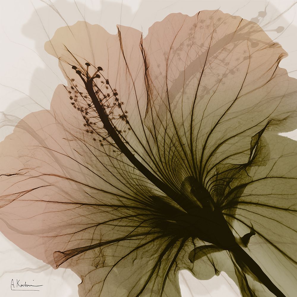 Changing Orange Growth 1 art print by Albert Koetsier for $57.95 CAD