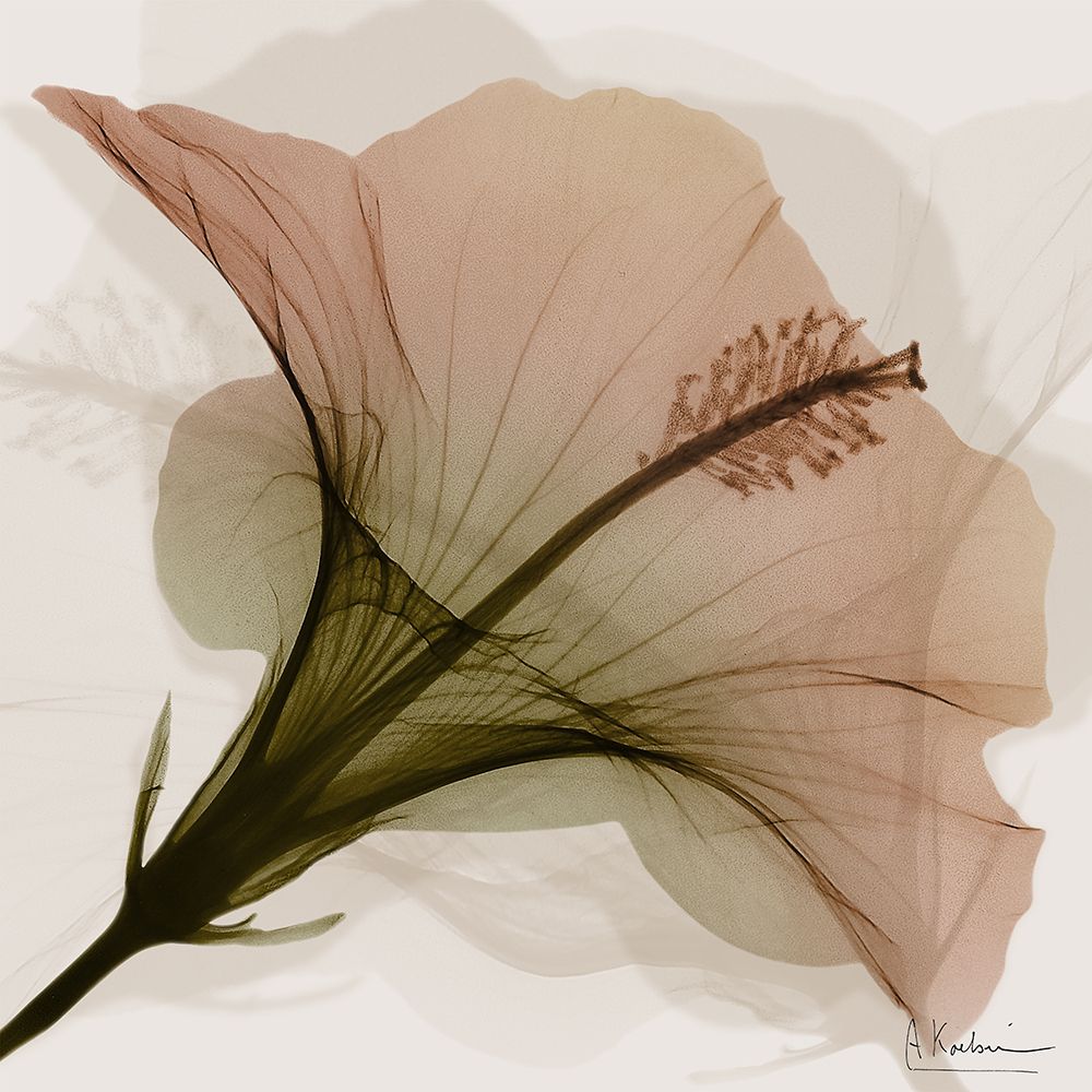 Changing Orange Growth 2 art print by Albert Koetsier for $57.95 CAD