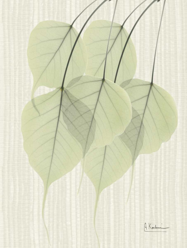 Bo Tree E158 art print by Albert Koetsier for $57.95 CAD