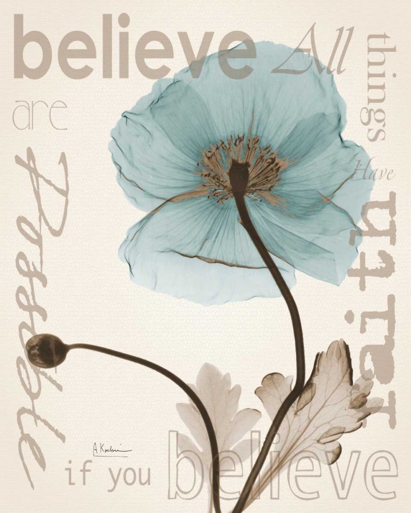 Believe Poppy art print by Albert Koetsier for $57.95 CAD