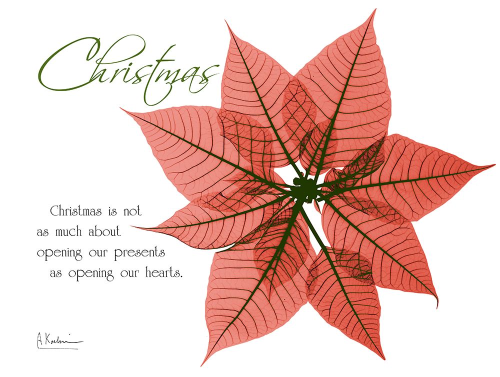 Xmas Poinsettia art print by Albert Koetsier for $57.95 CAD