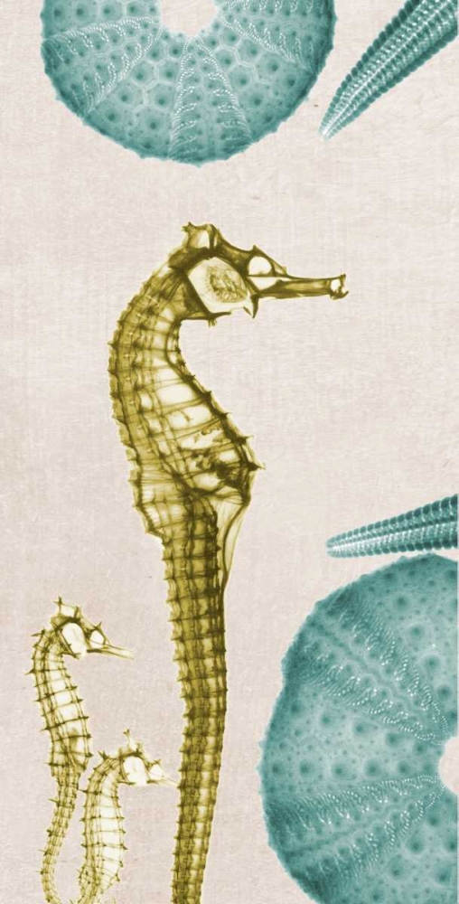 under The Sea 4 art print by Albert Koetsier for $57.95 CAD