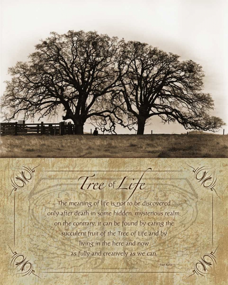 Costa Country art print by Albert Koetsier for $57.95 CAD