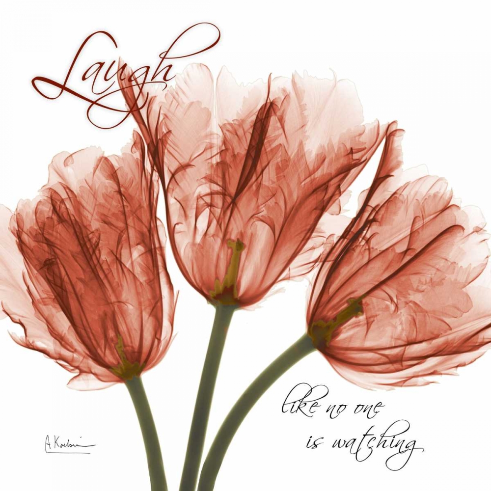Royal Red Tulip - Laugh art print by Albert Koetsier for $57.95 CAD