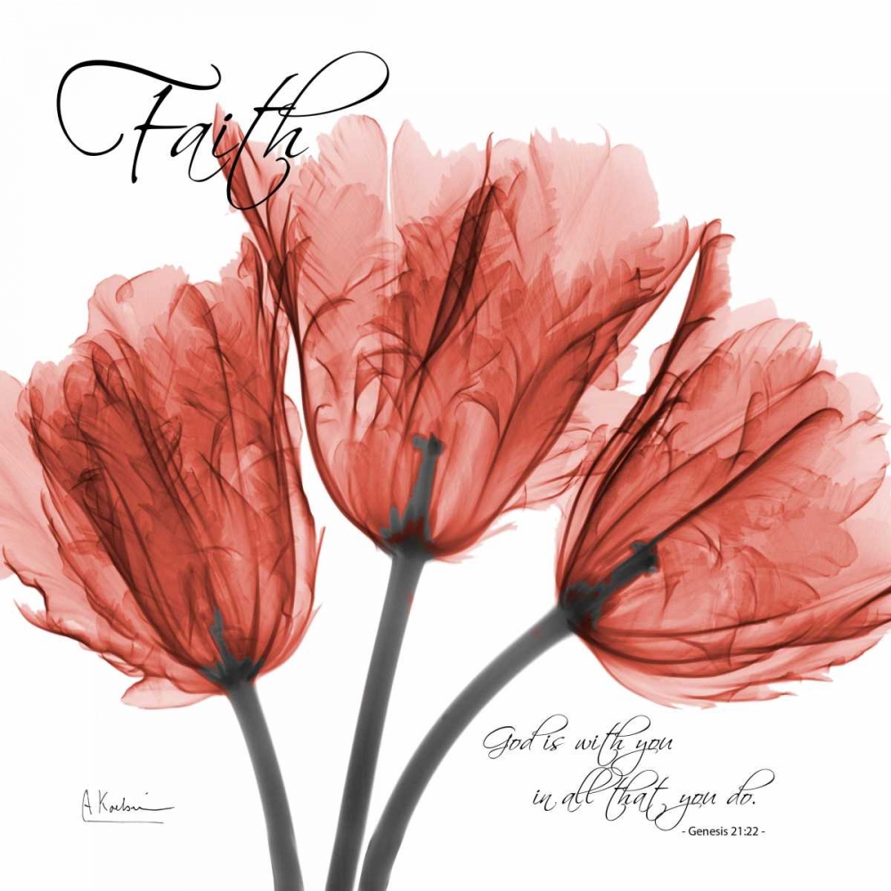 Royal Red Tulip -Faith art print by Albert Koetsier for $57.95 CAD