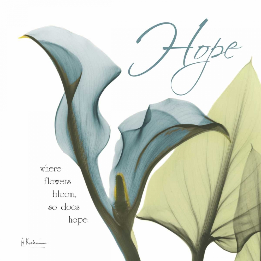 Calla Hope art print by Albert Koetsier for $57.95 CAD