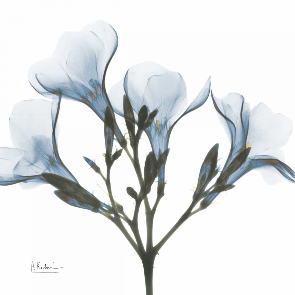May Flowers art print by Albert Koetsier for $57.95 CAD