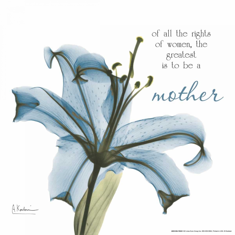 Mother Lily A36 art print by Albert Koetsier for $57.95 CAD