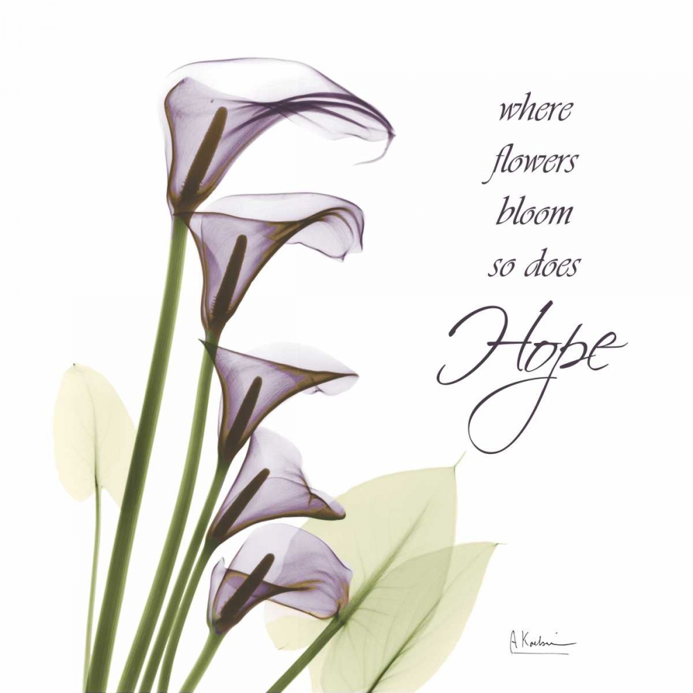 Swaying Callas - Hope art print by Albert Koetsier for $57.95 CAD