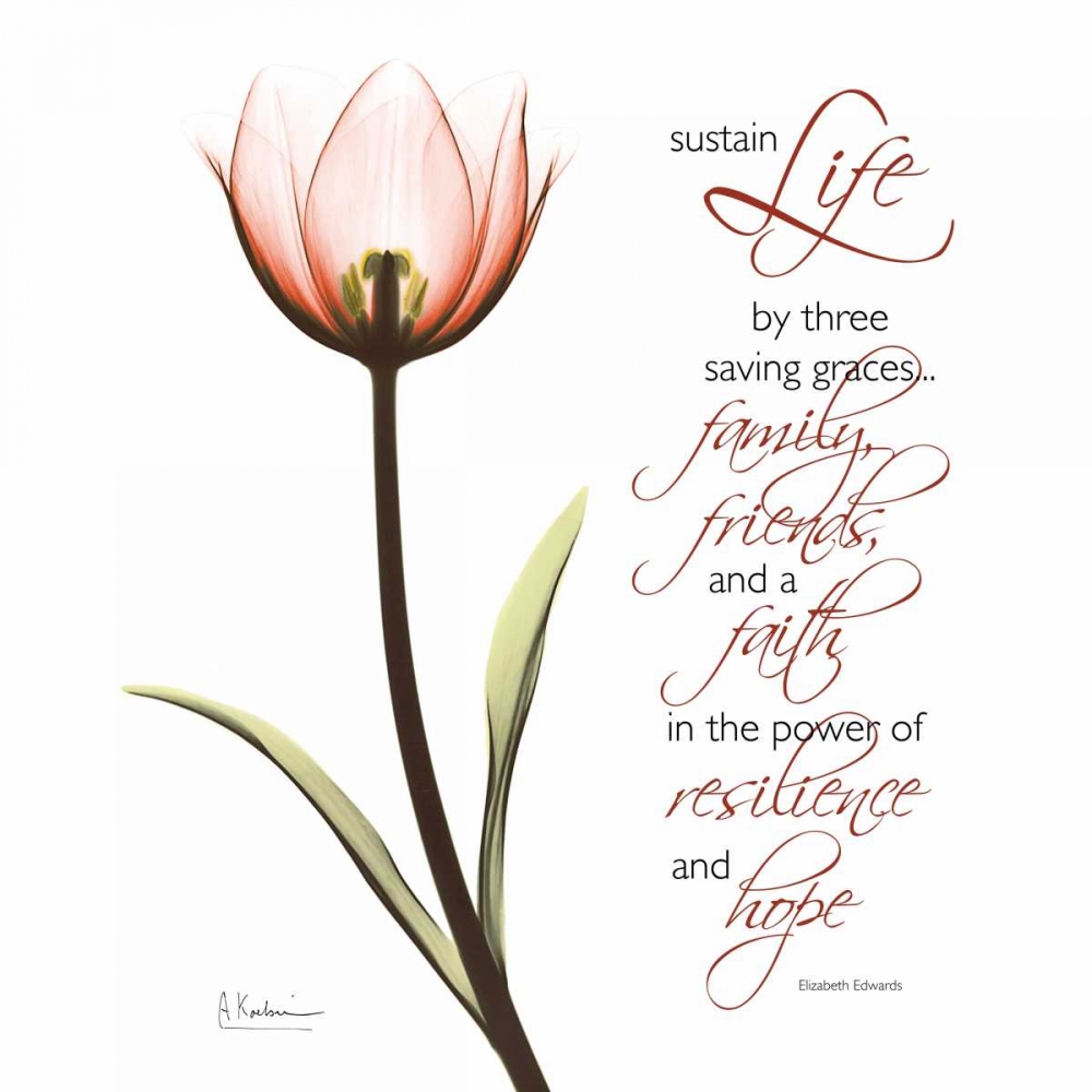 Swaying Tulip Pink - Life art print by Albert Koetsier for $57.95 CAD