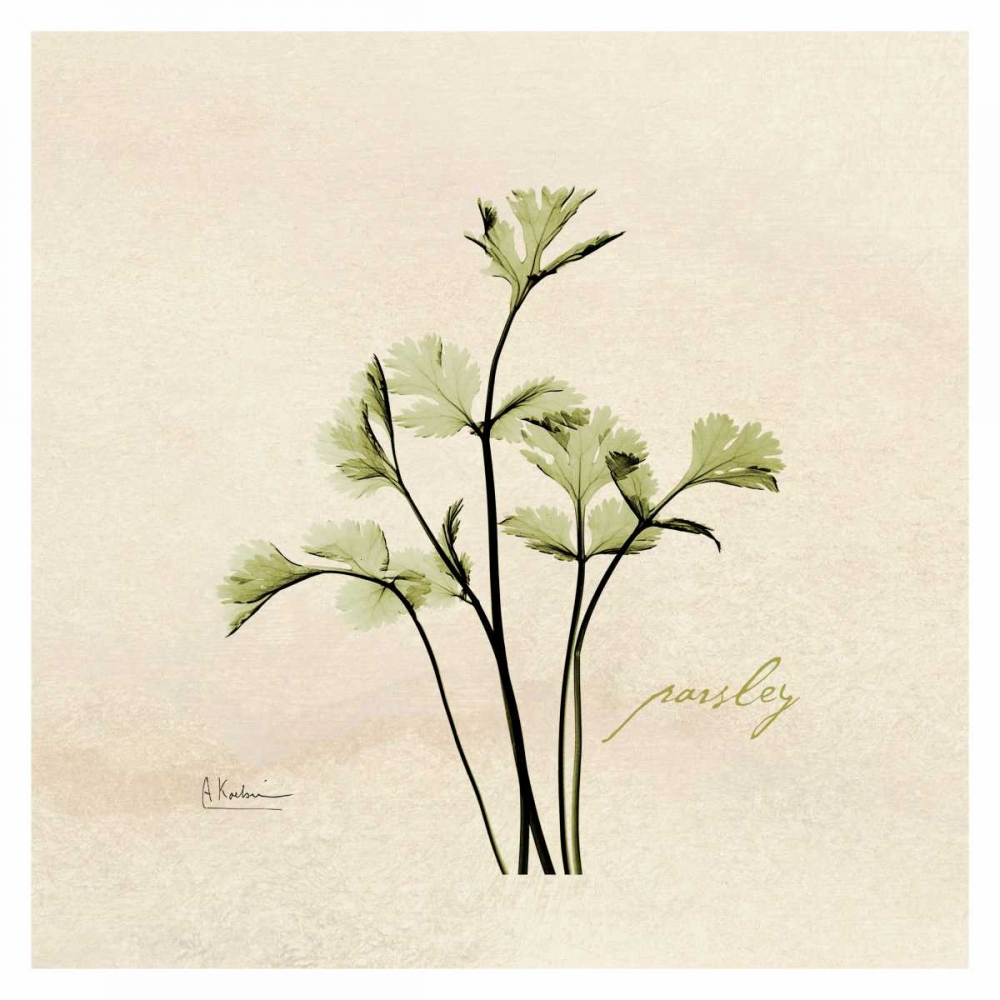 Parsley in Bloom art print by Albert Koetsier for $57.95 CAD